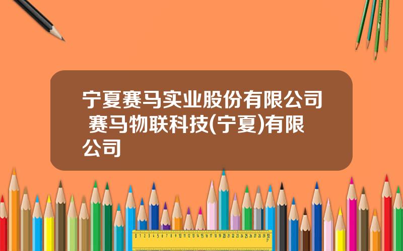 宁夏赛马实业股份有限公司 赛马物联科技(宁夏)有限公司